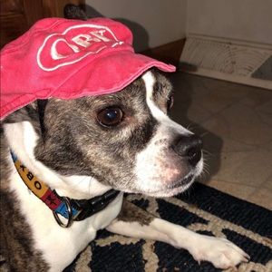 Meet your Posher, Jess